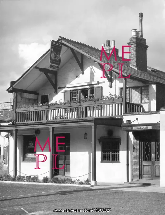 : YE OLDE SWISS COTTAGE : YE OLDE SWISS COTTAGE