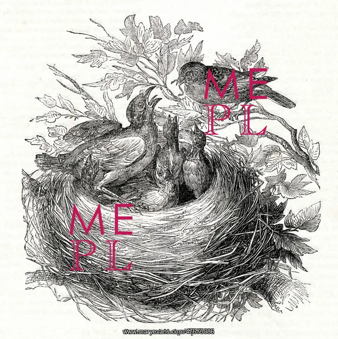 : The Year of the Poets -- Cuckoo in sparrows nest : The Year of the Poets -- Cuckoo in sparrows nest