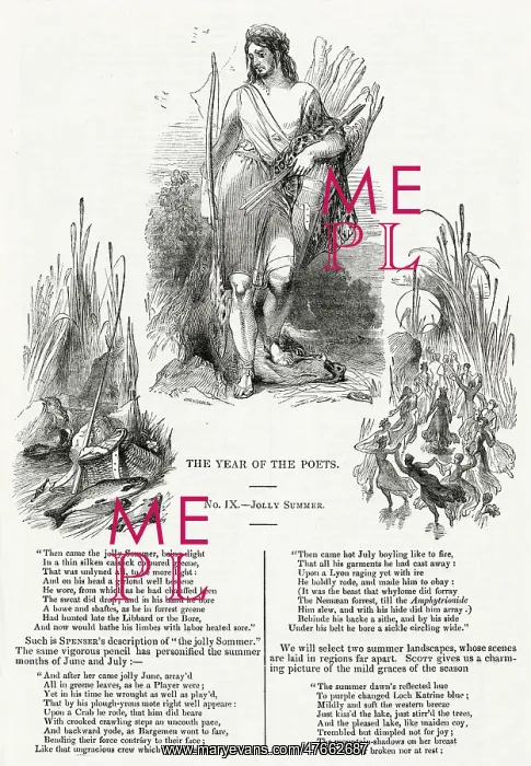 : The Year of the Poets -- Jolly Summer : The Year of the Poets -- Jolly Summer