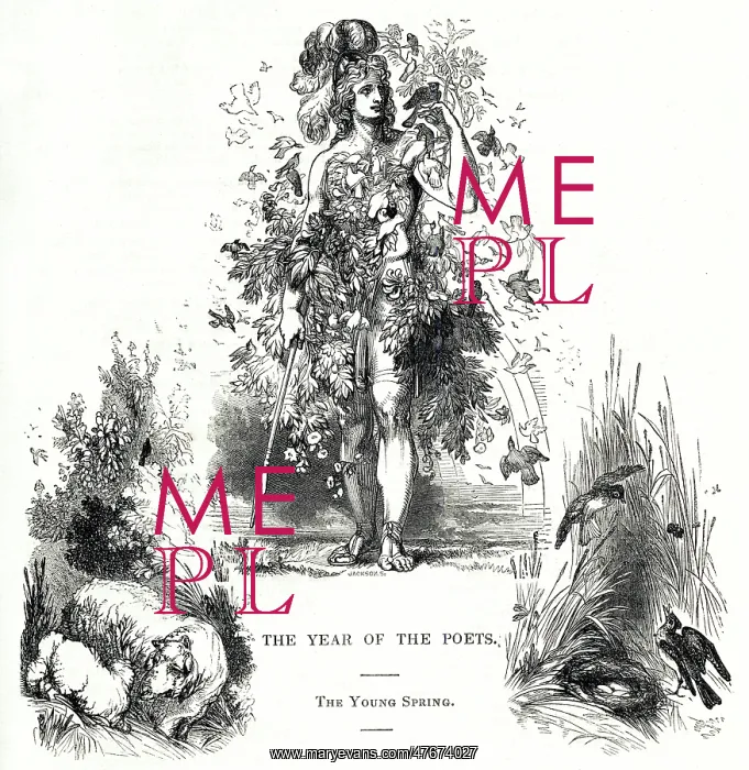 : The Year of the Poets -- The Young Spring : The Year of the Poets -- The Young Spring