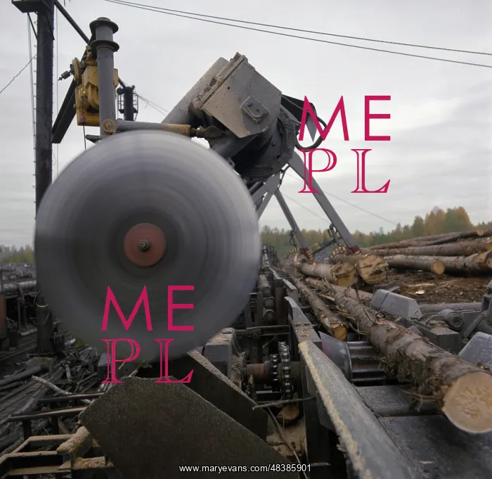 : Yefimovsky timber industry enterprise : Yefimovsky timber industry enterprise
