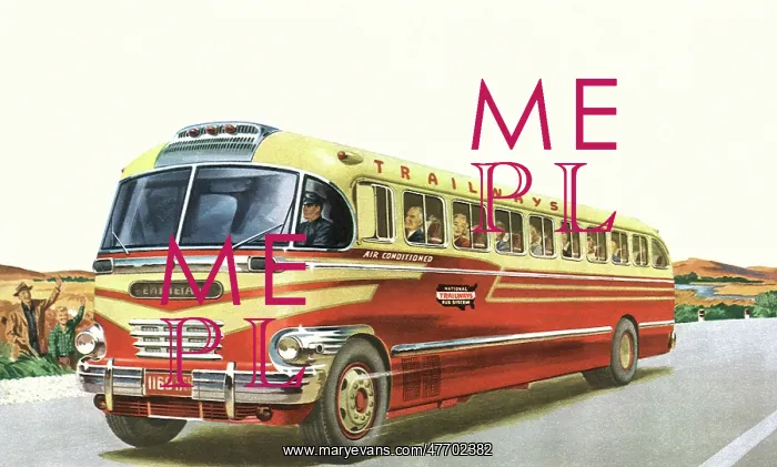  : Yellow-and-Red Bus