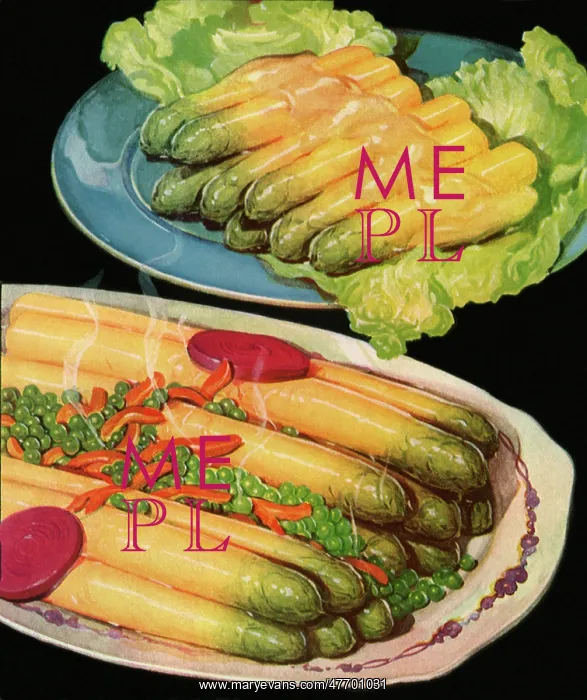 : Yellow Asparagus : Yellow Asparagus