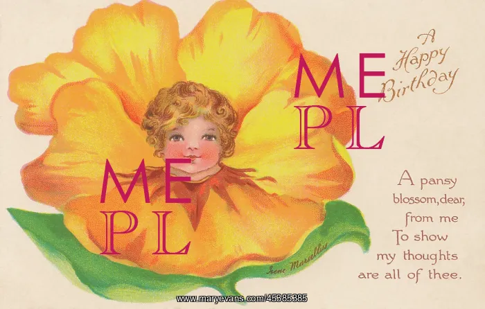 : Yellow Flower Faces : Yellow Flower Faces