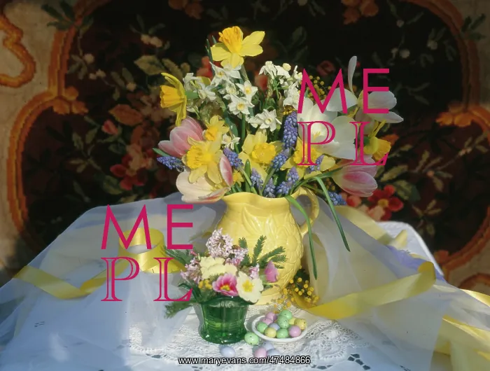 : Yellow jug and ribbon with Daffodils etc : Yellow jug and ribbon with Daffodils etc