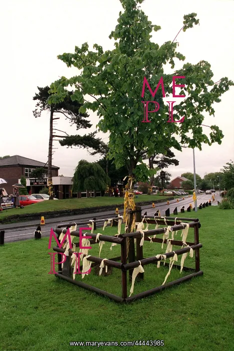 : Yellow Ribbons Hang On The : Yellow Ribbons Hang On The