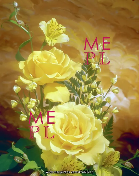  : Yellow Roses, Broom and Lilies