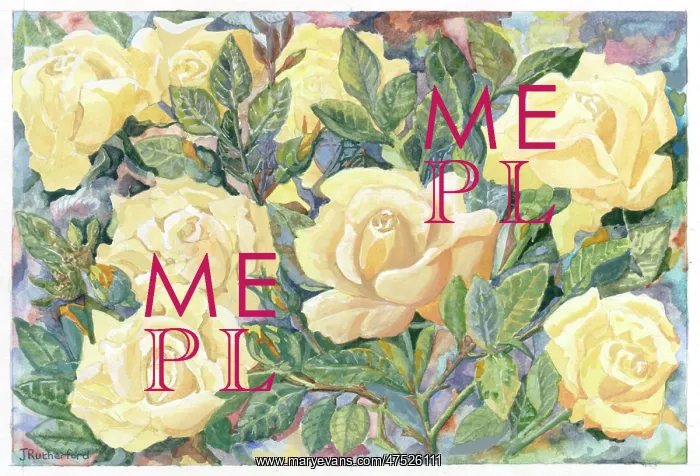 : Yellow roses with leaves : Yellow roses with leaves