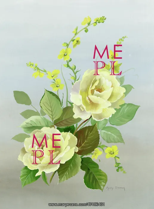  : Yellow roses with mullein