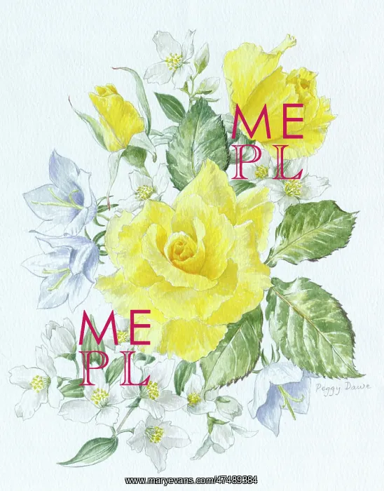  : Yellow Roses and Philaldelphus
