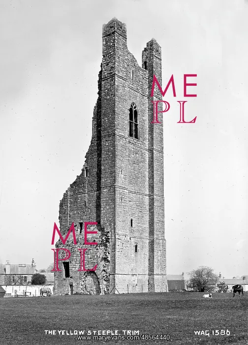 : The Yellow Steeple, Trim : The Yellow Steeple, Trim