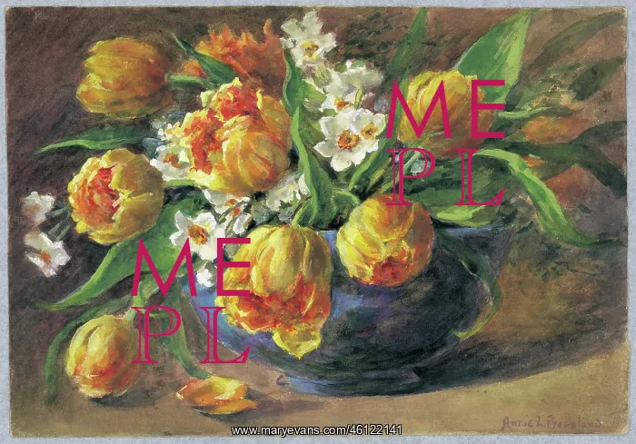 : Yellow Tulips and Narcissi : Yellow Tulips and Narcissi