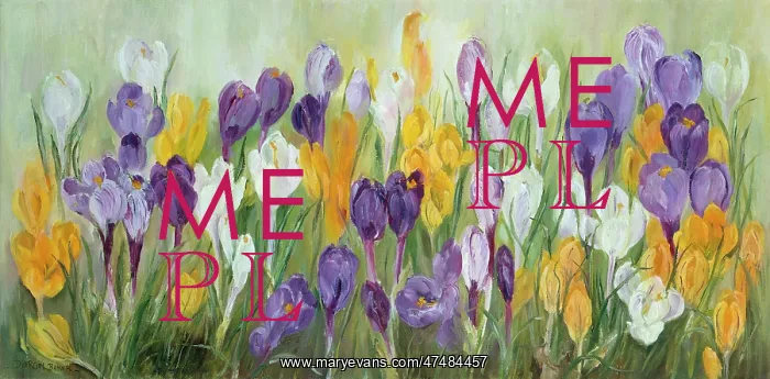  : Yellow, white and purple crocuses