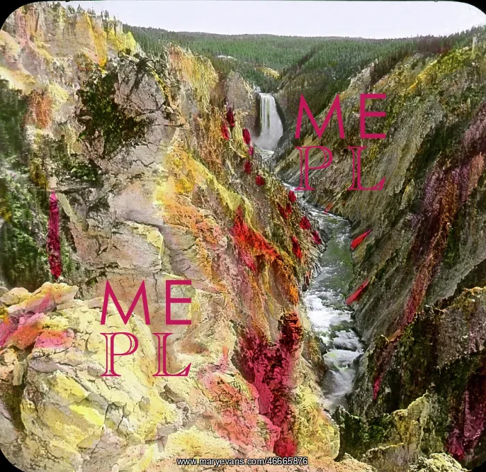 : Yellowstone National Park - Canyon : Yellowstone National Park - Canyon