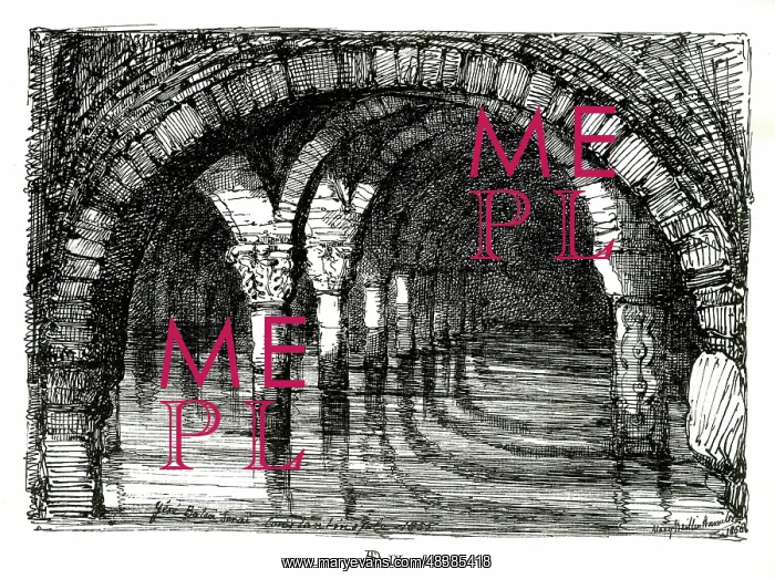 : Yere Batan Serai, underground cisterns, Istanbul, Turkey : Yere Batan Serai, underground cisterns, Istanbul, Turkey