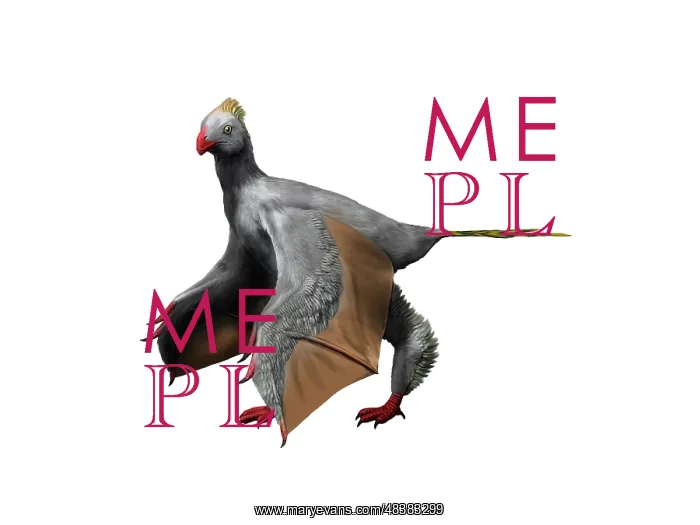 : Yi qi is an extinct theropod from the Late Jurassic of China : Yi qi is an extinct theropod from the Late Jurassic of China