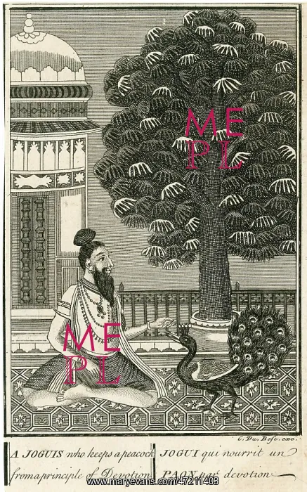  : YOGI AND PEACOCK