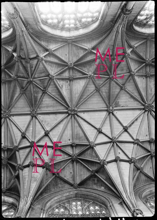 : York Minster, Minster Yard, York : York Minster, Minster Yard, York