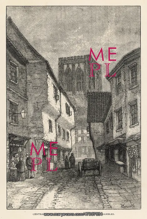  : YORK / SHAMBLES 1890S