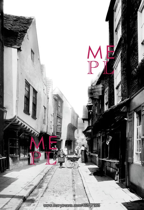  : York, Shambles 1893