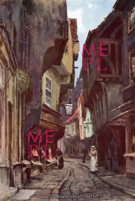  : YORK SHAMBLES