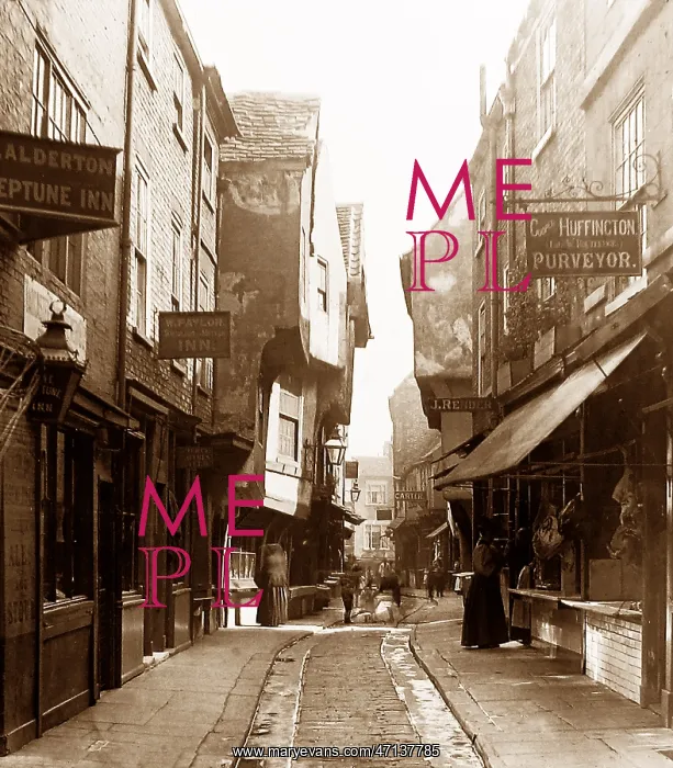  : York - The Shambles - Victorian period