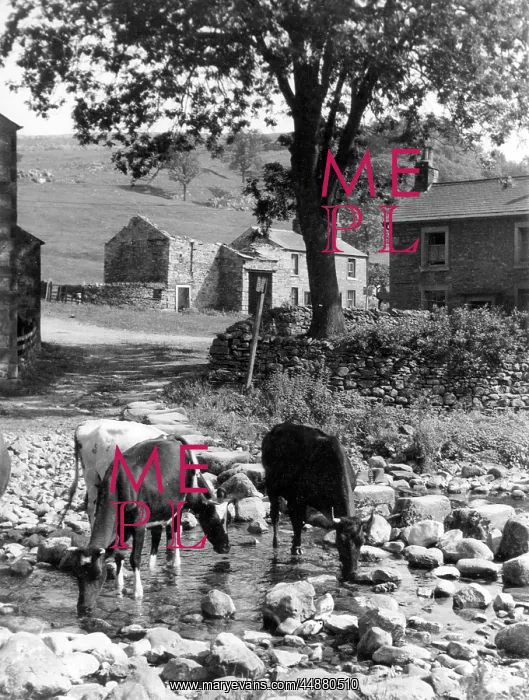 : YORKSHIRE SCENE : YORKSHIRE SCENE
