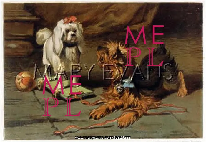 : YORKSHITE TERRIER BARKS : YORKSHITE TERRIER BARKS