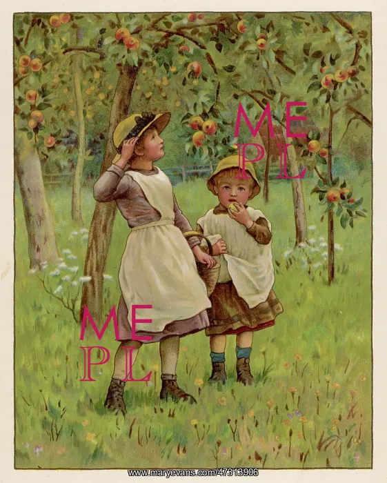  : YOUNG APPLE PICKERS