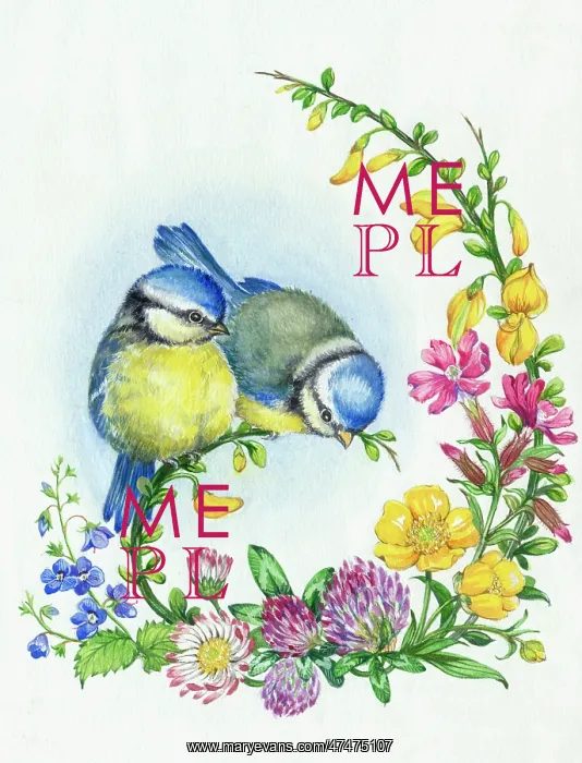  : Two young blue tits and wild flowers