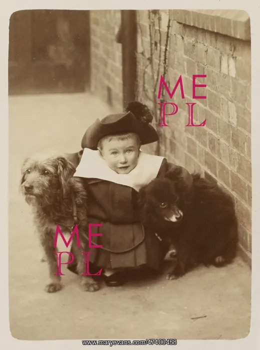 : YOUNG BOY AND TWO DOGS : YOUNG BOY AND TWO DOGS