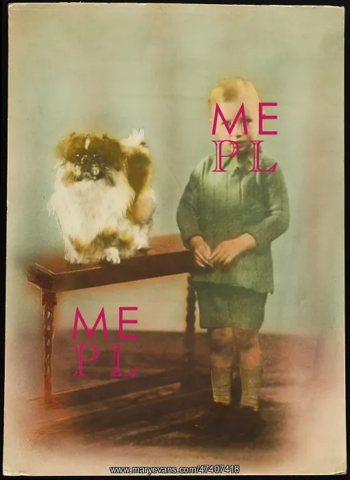 : YOUNG BOY AND PEKINGESE : YOUNG BOY AND PEKINGESE