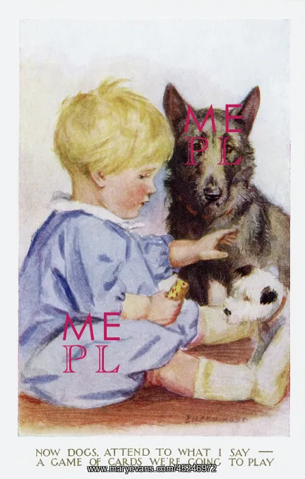 : Young boy with pet dogs : Young boy with pet dogs