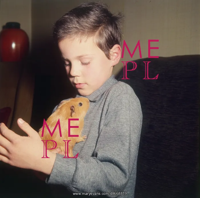  : Young boy with his pet Guinea Pig