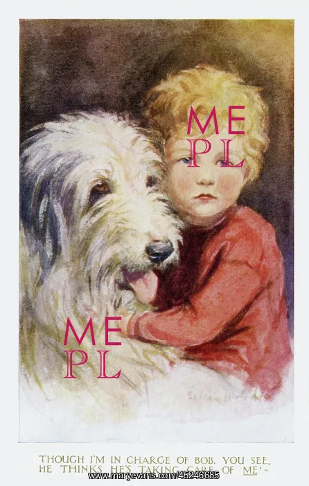 : Young boy with pet sheepdog : Young boy with pet sheepdog