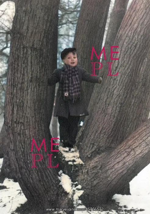 : Young boy standing amid the divergent trunks of a oak tree : Young boy standing amid the divergent trunks of a oak tree