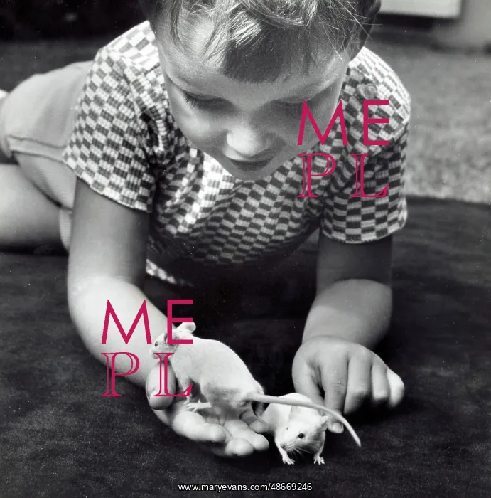  : A young boy with two white pet mice