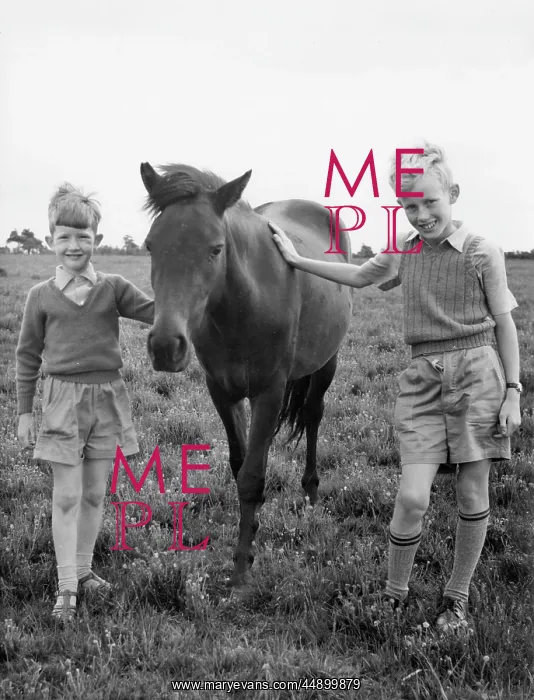  : Young boys with a Moorland Pony