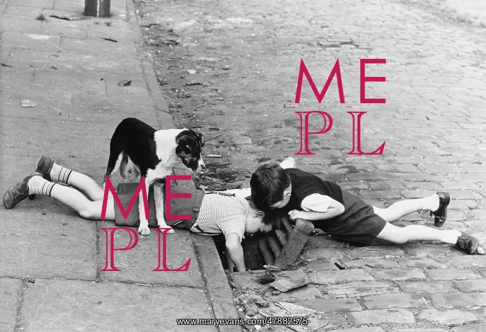 : Two young boys peer down a drain, 1963 : Two young boys peer down a drain, 1963