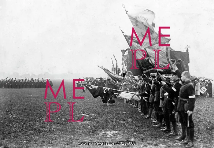 : Young boys waving flags, 1915 : Young boys waving flags, 1915