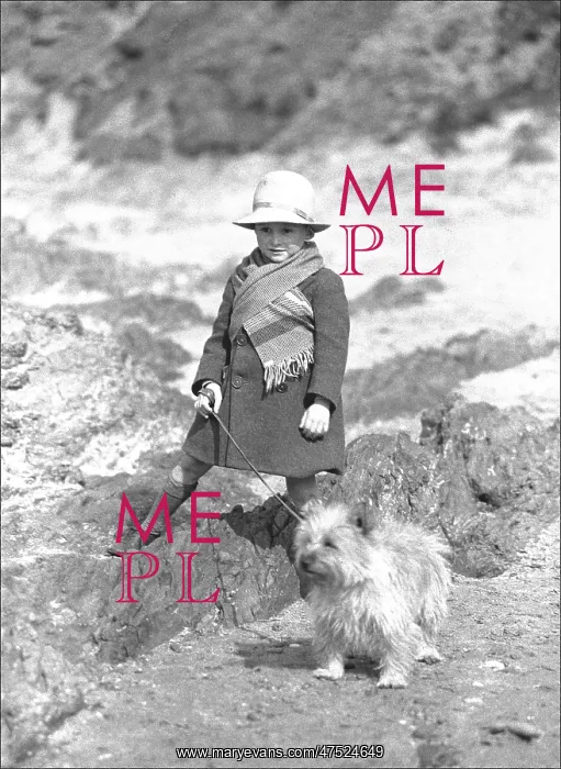 : Young child and pet dog : Young child and pet dog