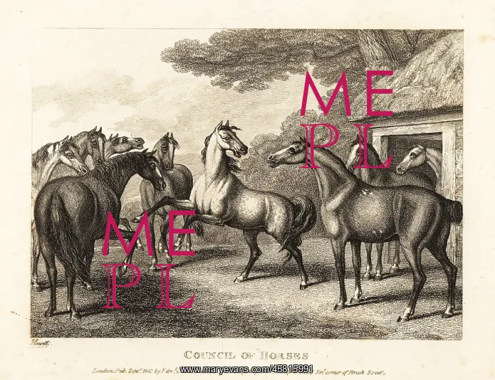 : A young colt tries to stir a mutiny in the stables : A young colt tries to stir a mutiny in the stables