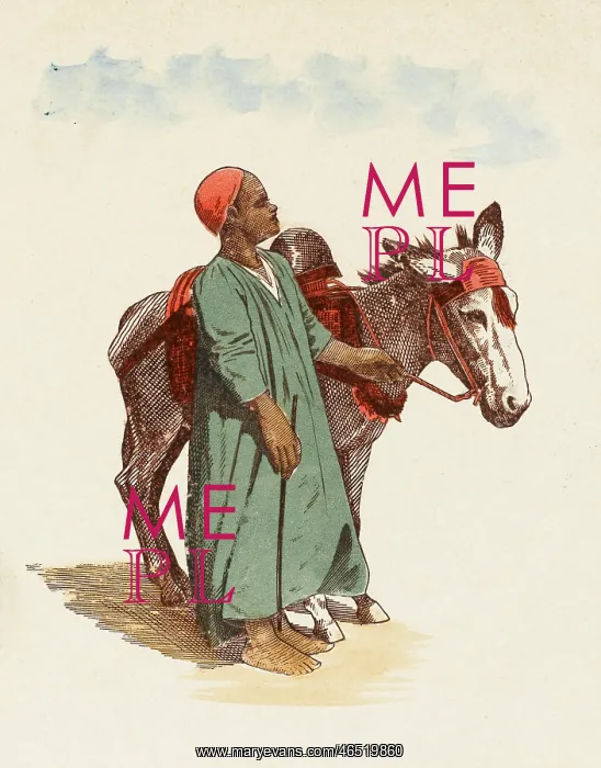  : Young Egyptian boy with his donkey