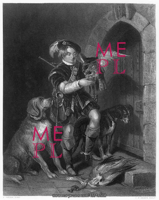 : YOUNG FALCONER WITH DOGS : YOUNG FALCONER WITH DOGS