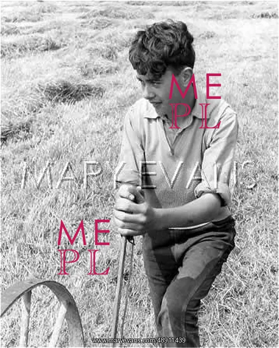 : A YOUNG FARMHAND : A YOUNG FARMHAND