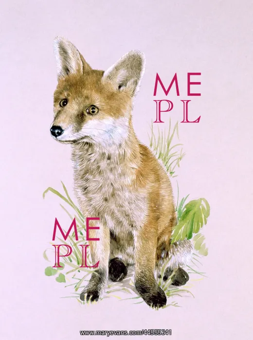 : A young fox : A young fox