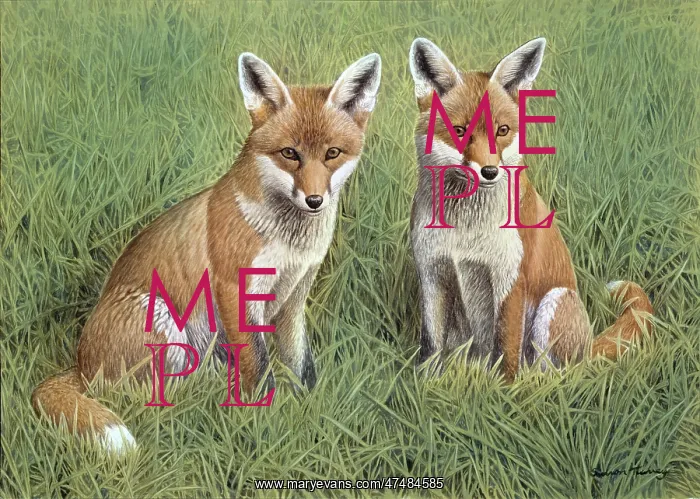  : Young Foxes