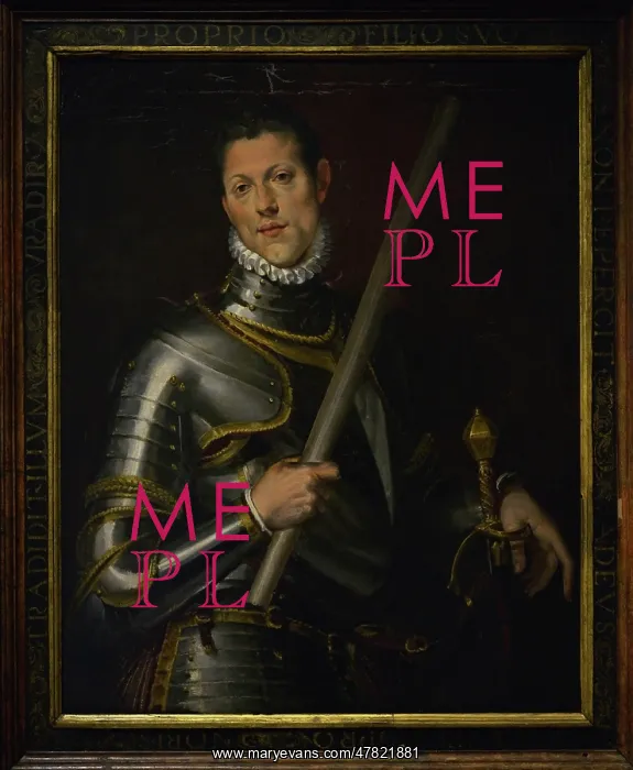 : A young general, circa 1575, by Bartolomeo Passerotti : A young general, circa 1575, by Bartolomeo Passerotti