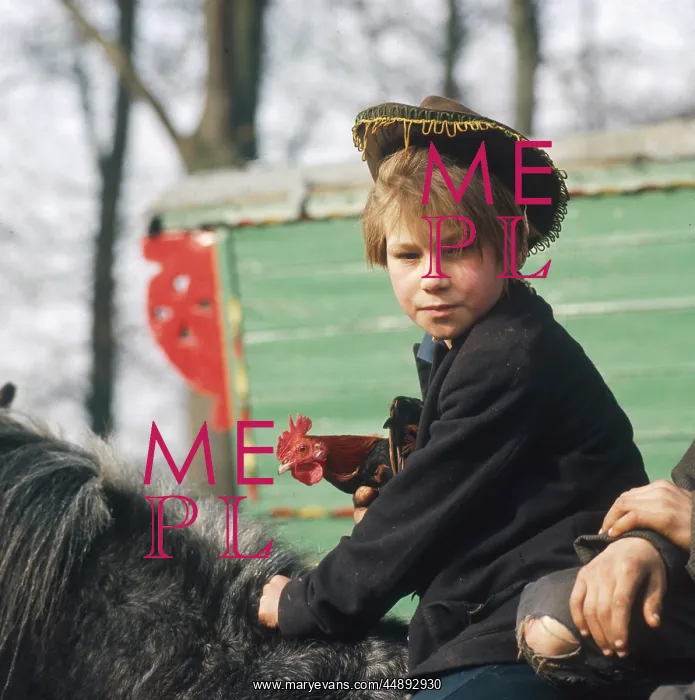 : YOUNG GIPSY BOY - 1973 : YOUNG GIPSY BOY - 1973