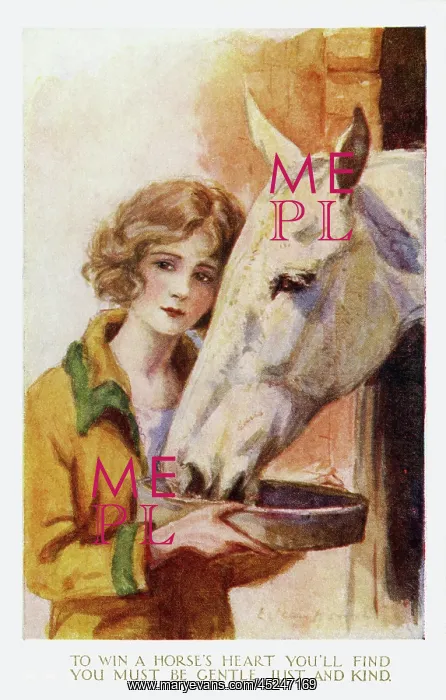 : Young girl feeding horse : Young girl feeding horse